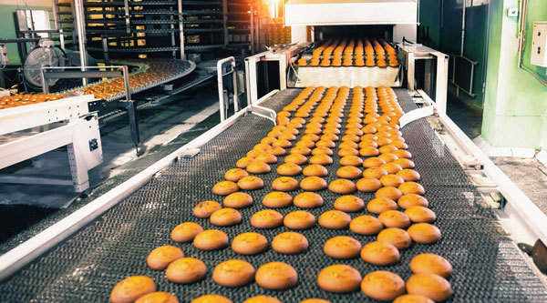 Food Processing Industry