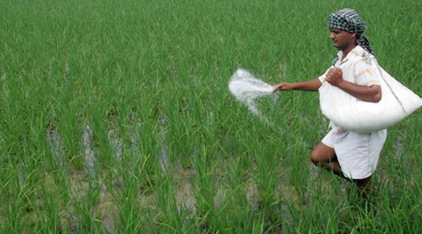 Fertilizer Sector