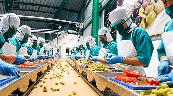 Food Industry