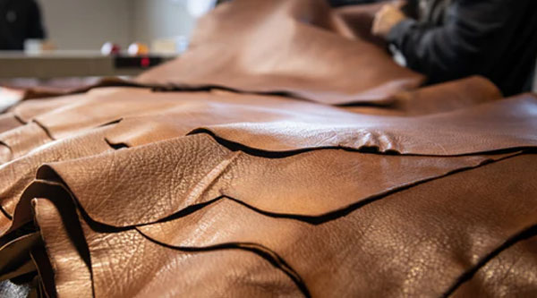 Leather and Tanning Industry